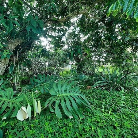 Flat Em Serra Negra - Bezerros Exteriör bild